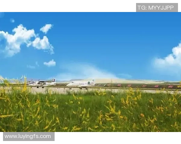 刘泽一:在新时代的浪潮中勇敢追梦的青年榜样与奋斗故事 刘泽一:在新时代的浪潮中勇敢追梦的青年榜样与奋斗故事