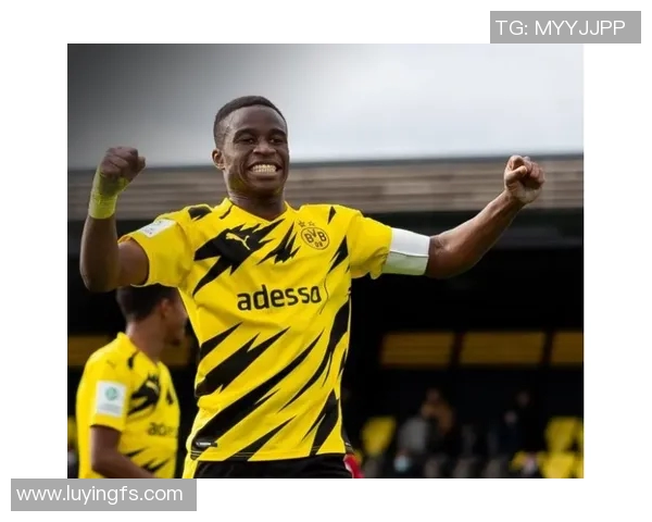 哈兰德：从天才少年到足坛巨星的辉煌蜕变之路