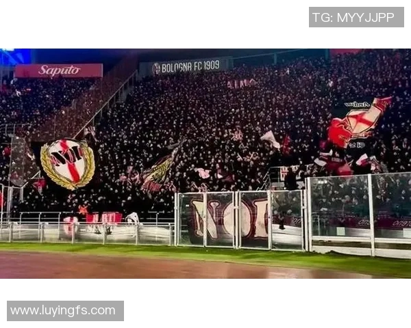 巴塞尔与锡永激战正酣球迷热情高涨走进看台助威 巴塞尔与锡永激战正酣球迷热情高涨走进看台助威