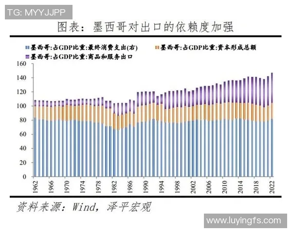 墨西哥与VSM的深度对比分析及其在全球市场中的影响探讨